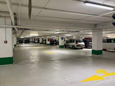Gewerbeobjekt kaufen in 4600 Wels (Bild 4)