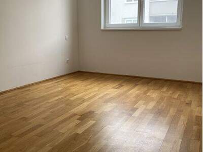 Terrassenwohnung mieten in 9020 Klagenfurt (Bild 4)