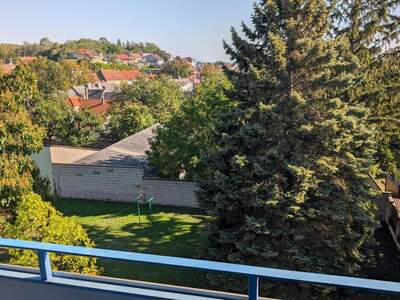 Mietwohnung provisionsfrei in 2243 Matzen