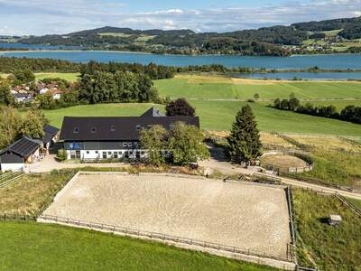 Gewerbeobjekt kaufen in 5164 Seeham