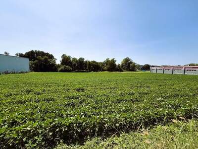Grundstück mieten in 7400 Oberwart