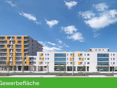 Gewerbeobjekt mieten in 8020 Graz
