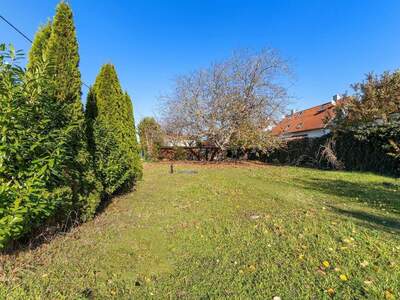 Grundstück kaufen in 1210 Wien