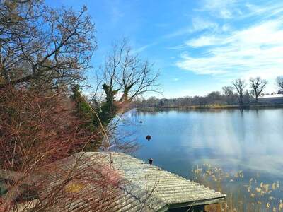 Gewerbeobjekt mieten in 1220 Wien (Bild 5)