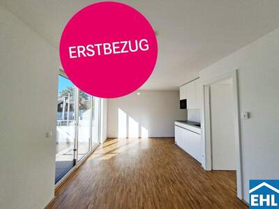 Terrassenwohnung mieten in 1220 Wien (Bild 2)