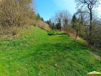 Haus mit Garten kaufen in 3170 Hainfeld (Bild 4)