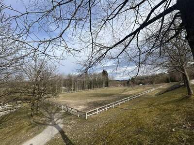 Immobilie mieten in 4843 Ampflwang (Bild 5)