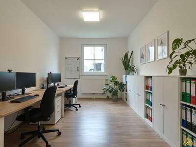 Gewerbeobjekt kaufen in 2483 Weigelsdorf (Bild 5)
