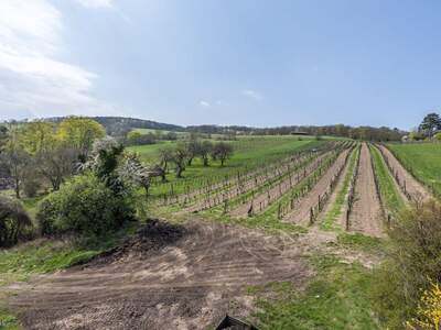 Grundstück kaufen in 3400 Klosterneuburg (Bild 2)