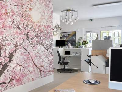 Immobilie kaufen in 1220 Wien (Bild 1)