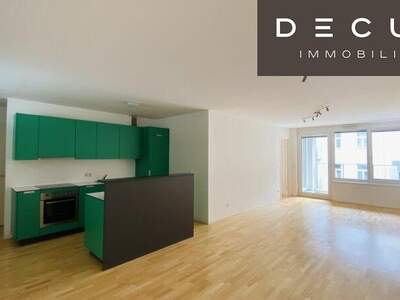 Terrassenwohnung mieten in 1100 Wien (Bild 1)