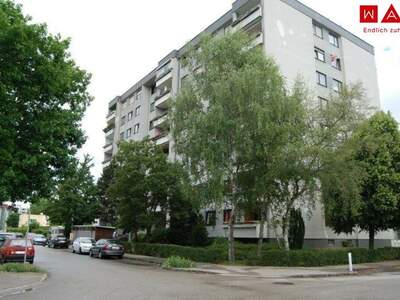 Terrassenwohnung mieten in 4053 Haid (Bild 1)