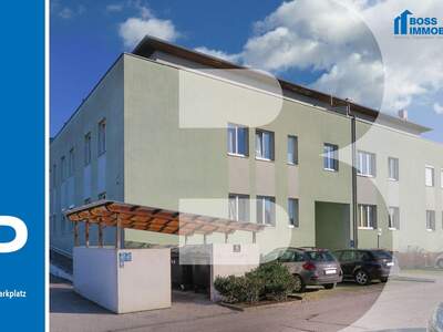 Immobilie mieten in 4050 Traun