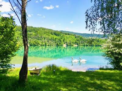 Haus kaufen in 9181 Feistritz (Bild 1)