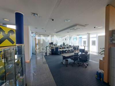 Gewerbeobjekt mieten in 4481 Asten (Bild 4)