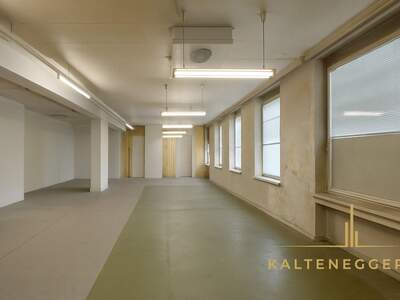 Gewerbeobjekt mieten in 1120 Wien (Bild 2)