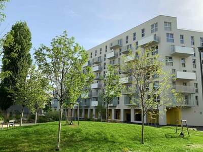 Haus kaufen in 1210 Wien (Bild 1)