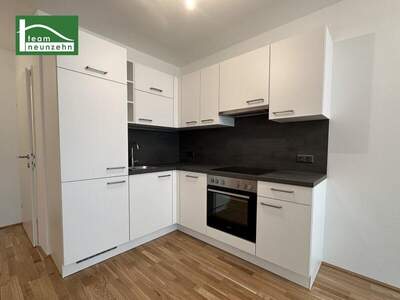 Terrassenwohnung mieten in 1220 Wien (Bild 4)