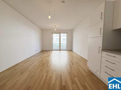 Terrassenwohnung mieten in 1020 Wien (Bild 1)