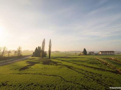 Terrassenwohnung mieten in 3241 Kirnberg (Bild 4)