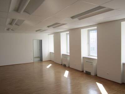 Gewerbeobjekt mieten in 1190 Wien (Bild 1)