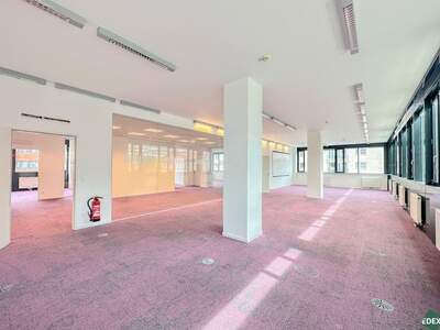 Gewerbeobjekt mieten in 1200 Wien (Bild 3)