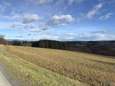 Grundstück kaufen in 7532 Litzelsdorf