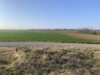 Grundstück kaufen in 2425 Nickelsdorf