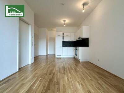 Terrassenwohnung mieten in 1220 Wien (Bild 3)