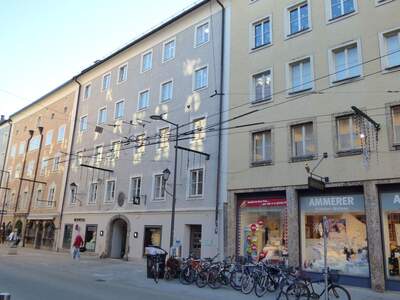 Gewerbeobjekt mieten in 5020 Salzburg (Bild 3)