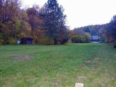 Grundstück kaufen in 3413 Hintersdorf (Bild 1)