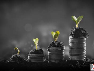 Anlageobjekt kaufen in 1010 Wien (Bild 1)