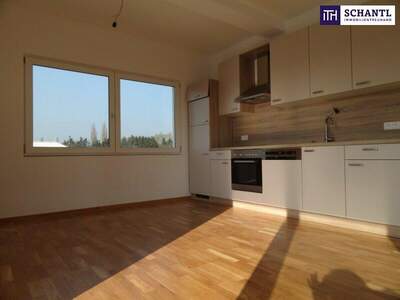 Terrassenwohnung mieten in 8041 Graz (Bild 1)