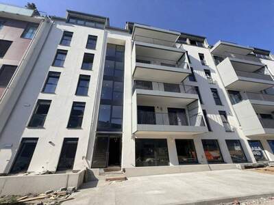 Anlageobjekt kaufen in 4020 Linz