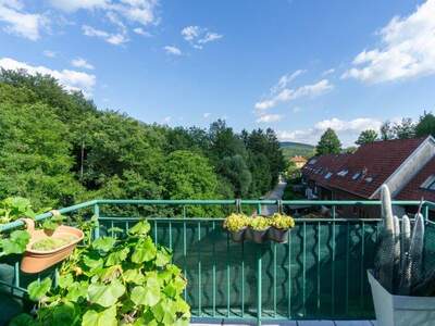 Terrassenwohnung kaufen in 3013 Tullnerbach (Bild 3)