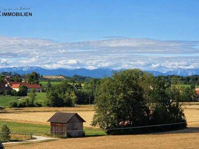 Anlageobjekt kaufen in 4490 St. Florian