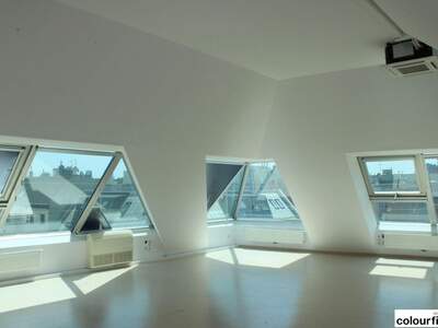 Gewerbeobjekt mieten in 1100 Wien (Bild 3)