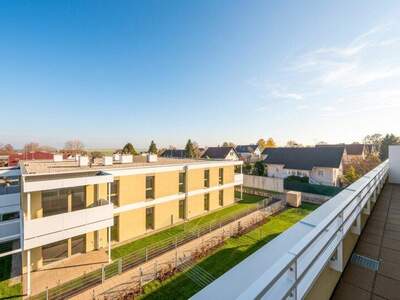 Terrassenwohnung kaufen in 2540 Bad Vöslau (Bild 3)