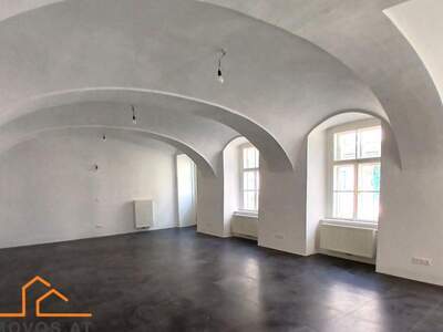 Gewerbeobjekt mieten in 1140 Wien 14. (Bild 3)