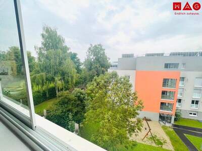 Terrassenwohnung mieten in 4020 Linz (Bild 1)