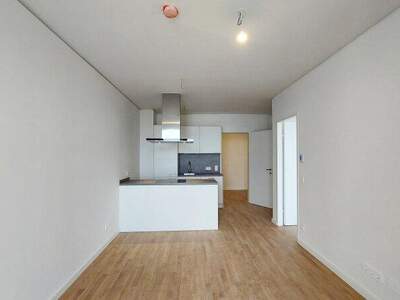 Terrassenwohnung mieten in 1220 Wien (Bild 5)