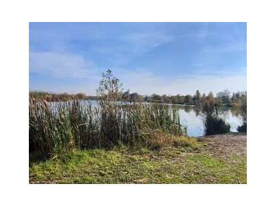 Grundstück provisionsfrei kaufen