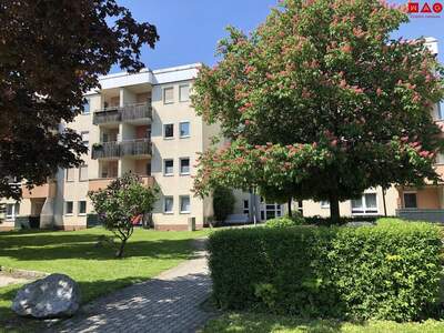 Wohnung mieten in 4400 Steyr