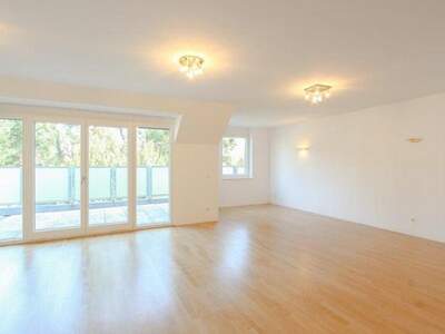 Terrassenwohnung mieten in 1190 Wien (Bild 5)