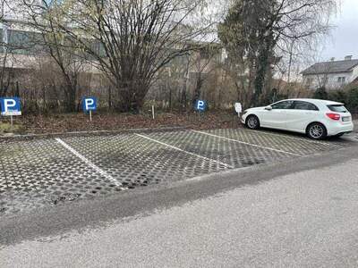 Halle / Lager / Produktion kaufen in 4600 Wels (Bild 3)