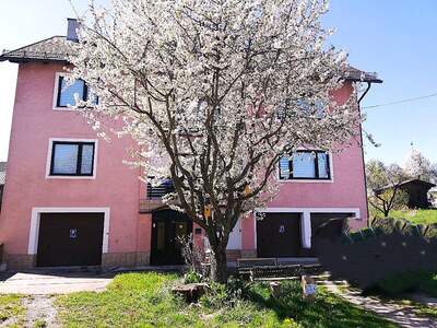 Einfamilienhaus kaufen in 3611 Großheinrichschlag (Bild 1)