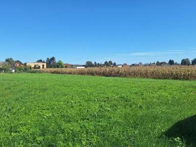 Grundstück kaufen in 8472 Straß