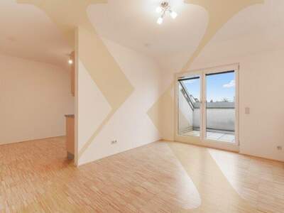 Terrassenwohnung mieten in 4050 Traun (Bild 1)