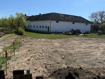 Mehrfamilienhaus kaufen in 4614 Marchtrenk (Bild 3)