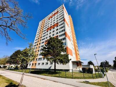 Anlageobjekt kaufen in 2700 Wiener Neustadt